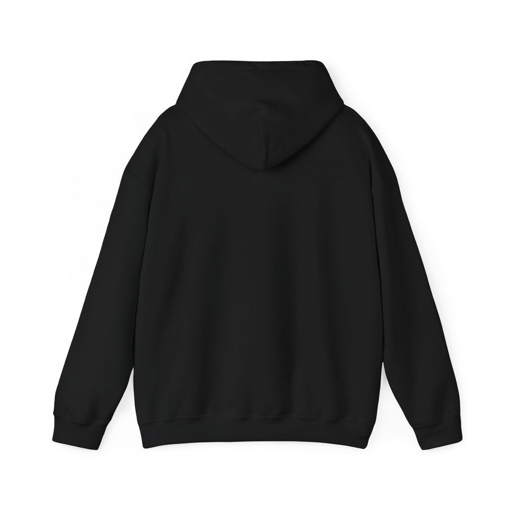 Until We Meet Again Hoodie - Angel Wings Pet Memorial Sweatshirt