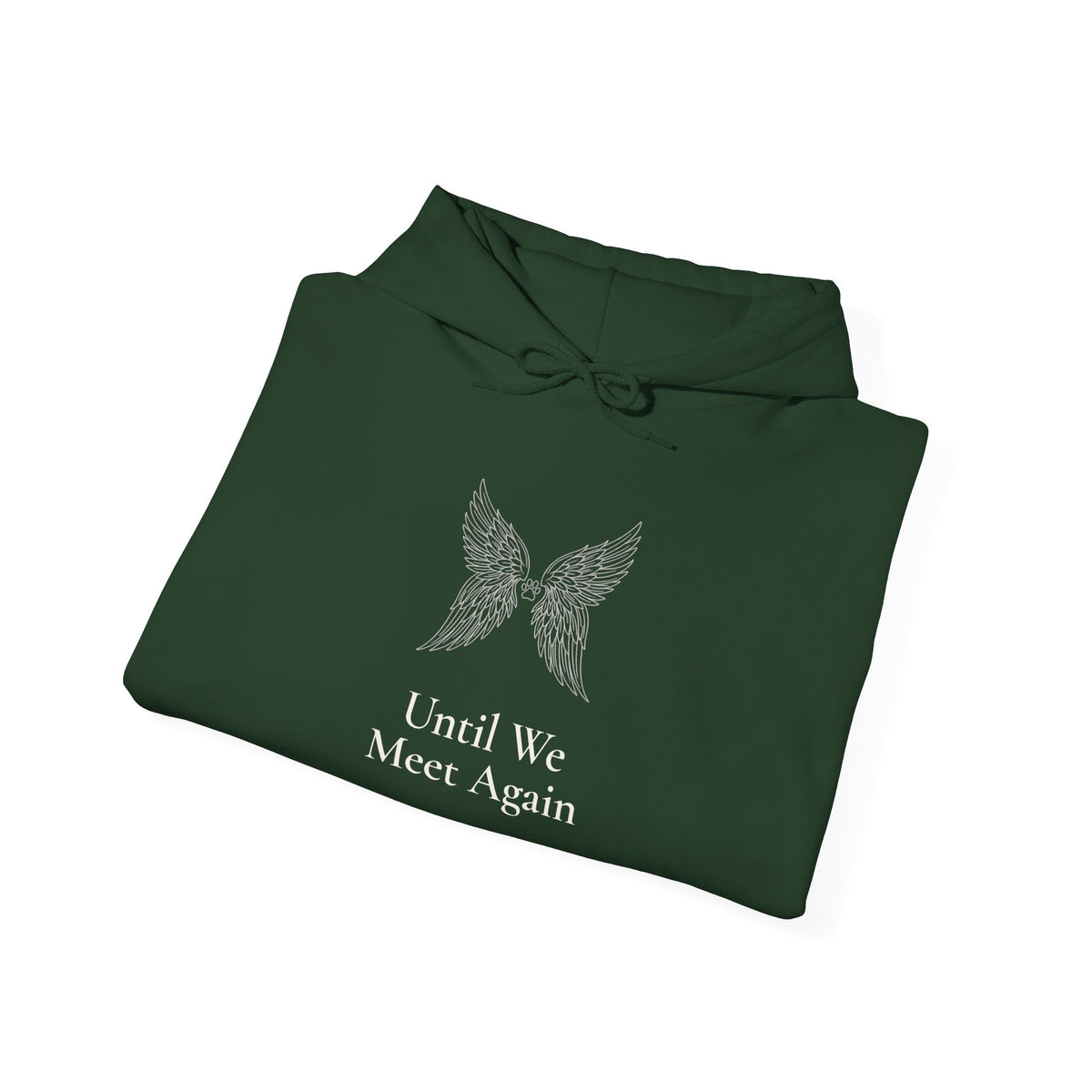 Until We Meet Again Hoodie - Angel Wings Pet Memorial Sweatshirt