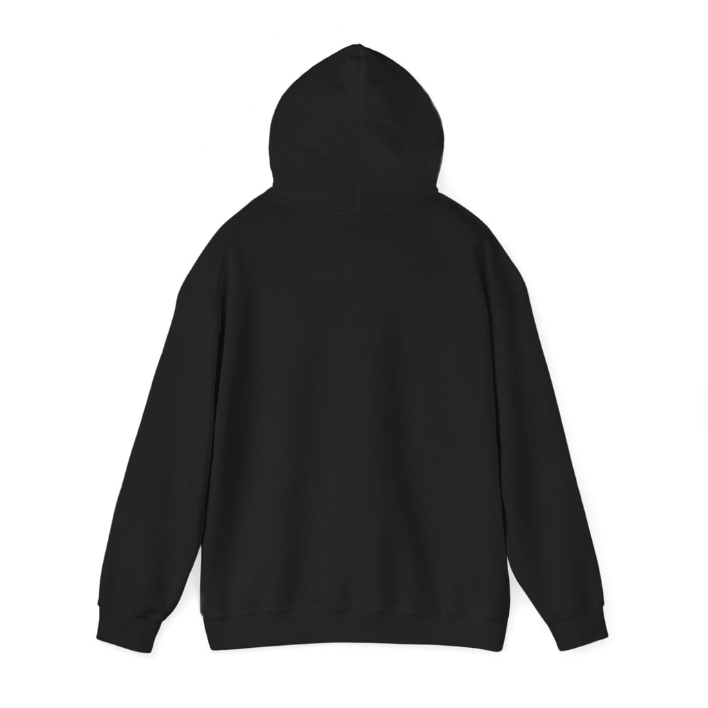 Until We Meet Again Hoodie - Angel Wings Pet Memorial Sweatshirt