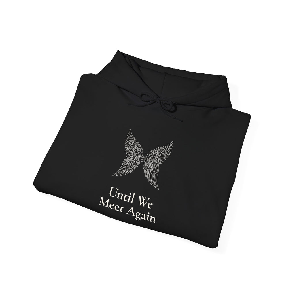 Until We Meet Again Hoodie - Angel Wings Pet Memorial Sweatshirt
