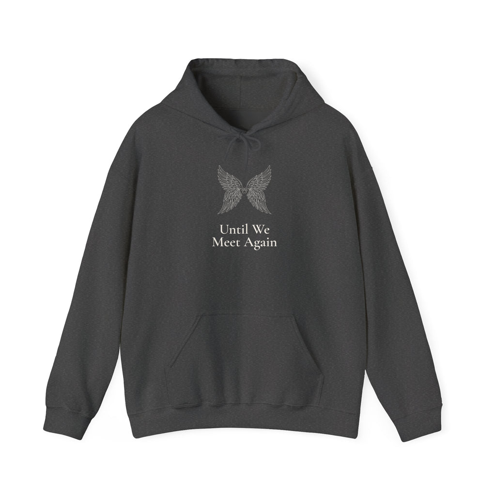 Until We Meet Again Hoodie - Angel Wings Pet Memorial Sweatshirt