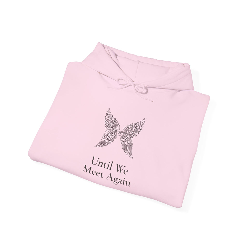 Until We Meet Again Hoodie - Angel Wings Pet Memorial Sweatshirt