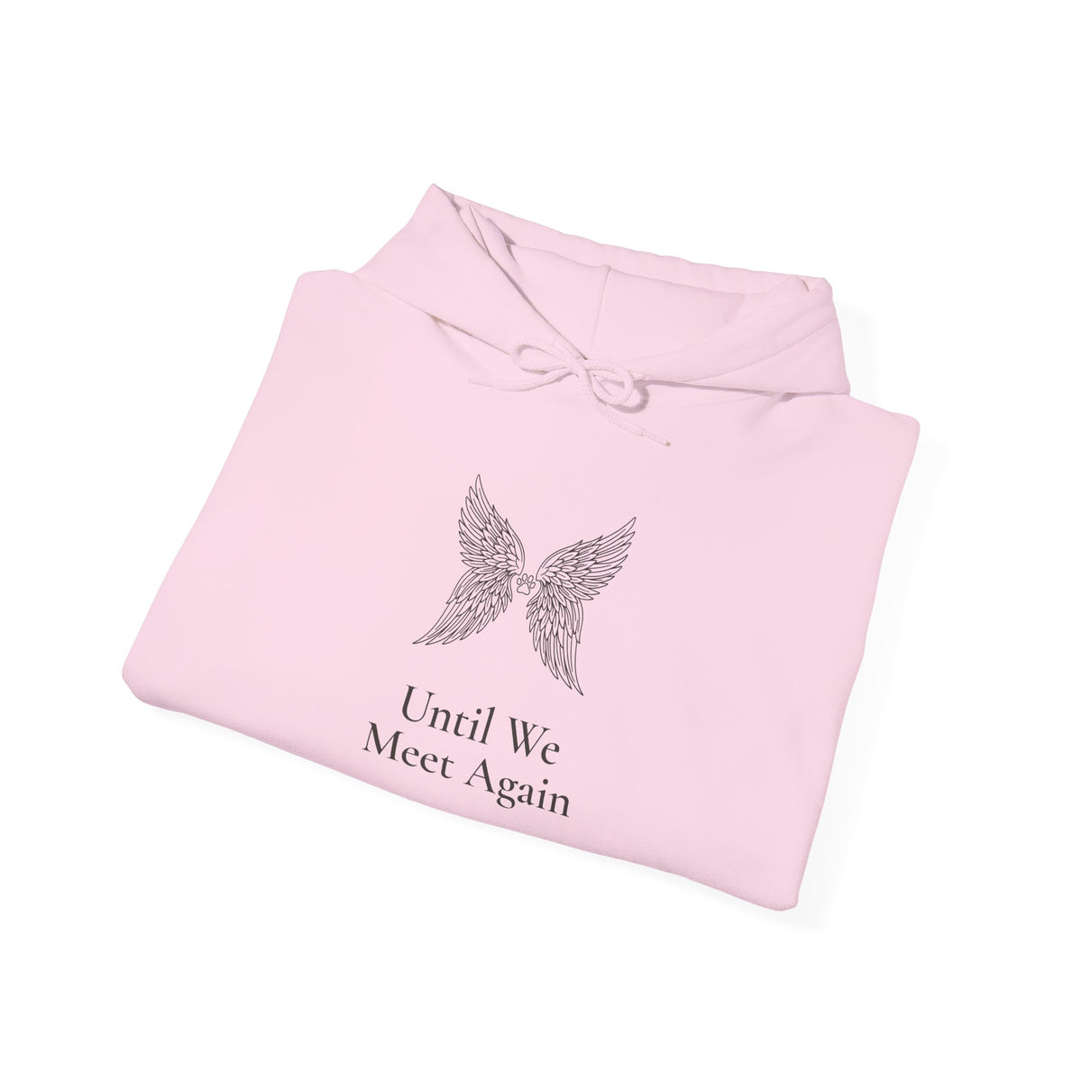 Until We Meet Again Hoodie - Angel Wings Pet Memorial Sweatshirt