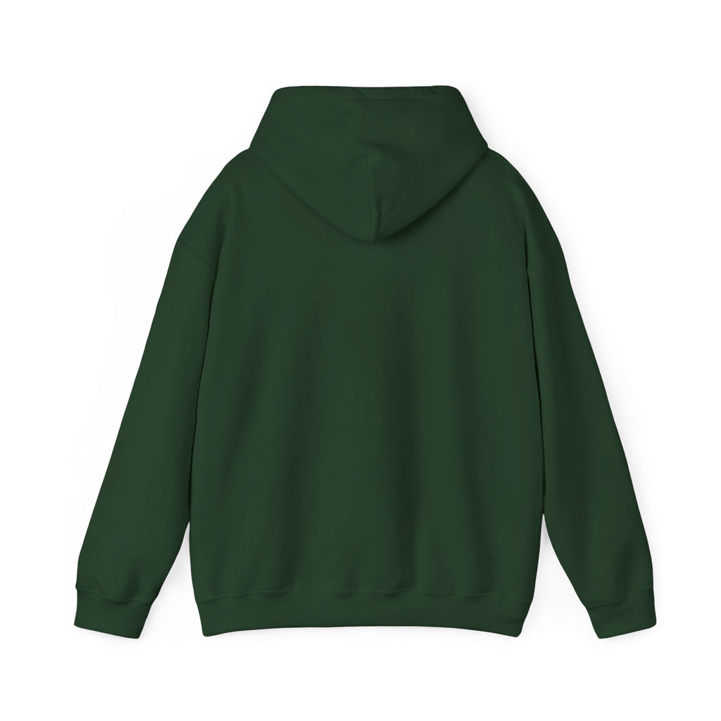 Until We Meet Again Hoodie - Angel Wings Pet Memorial Sweatshirt