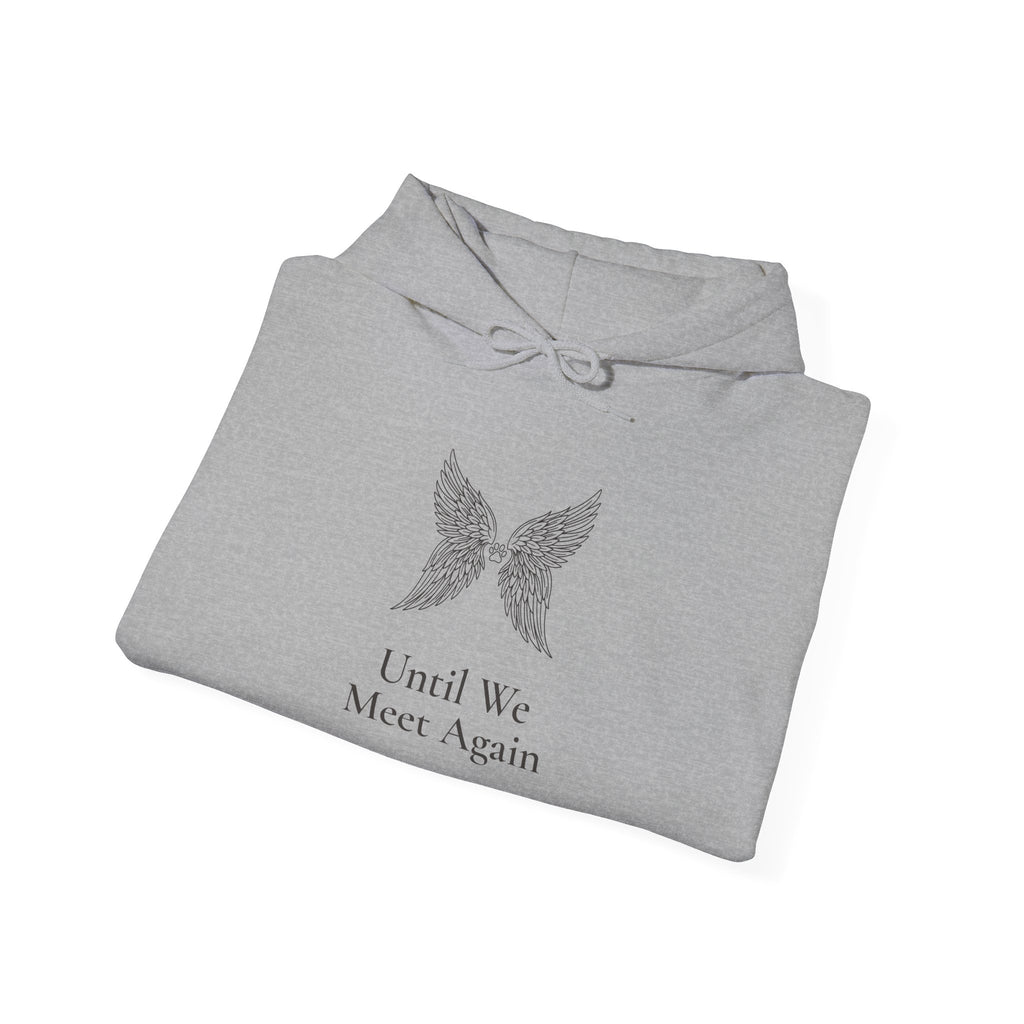 Until We Meet Again Hoodie - Angel Wings Pet Memorial Sweatshirt