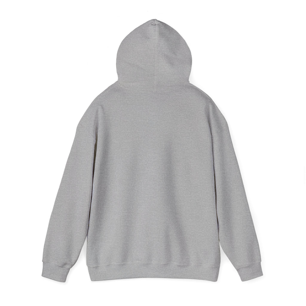 Until We Meet Again Hoodie - Angel Wings Pet Memorial Sweatshirt