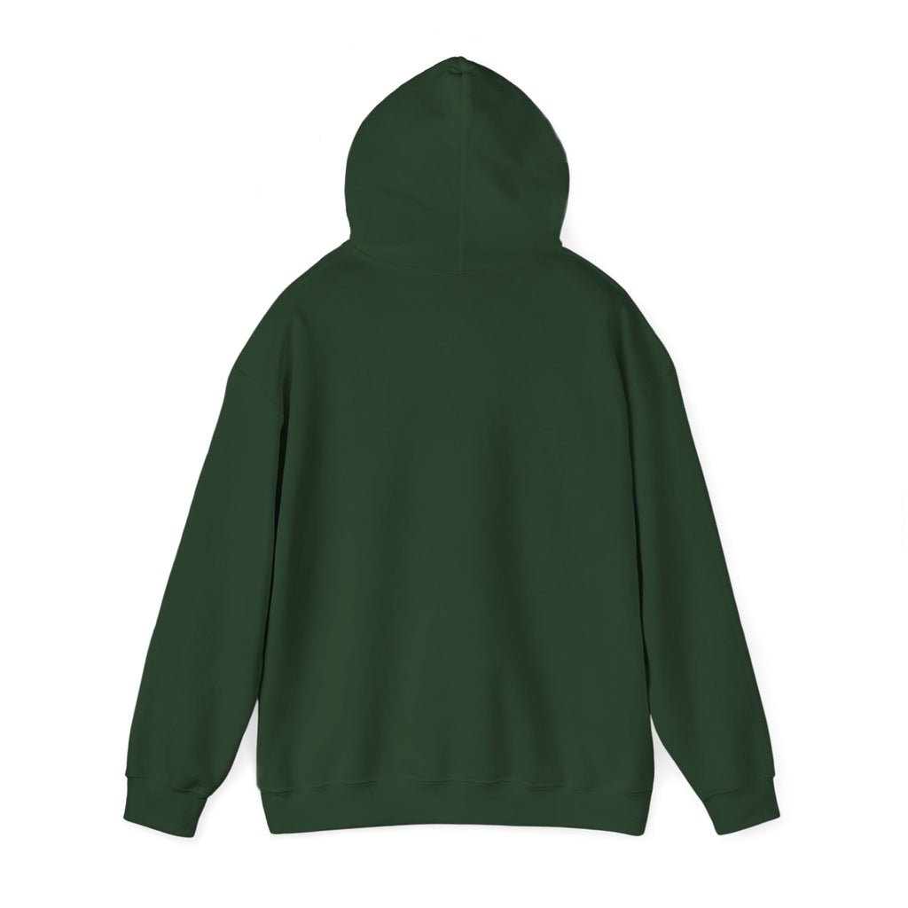 Until We Meet Again Hoodie - Angel Wings Pet Memorial Sweatshirt
