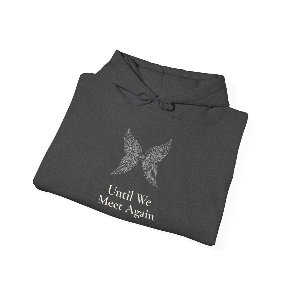 Until We Meet Again Hoodie - Angel Wings Pet Memorial Sweatshirt