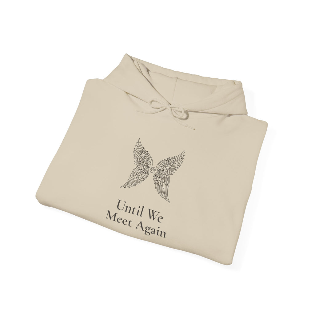 Until We Meet Again Hoodie - Angel Wings Pet Memorial Sweatshirt