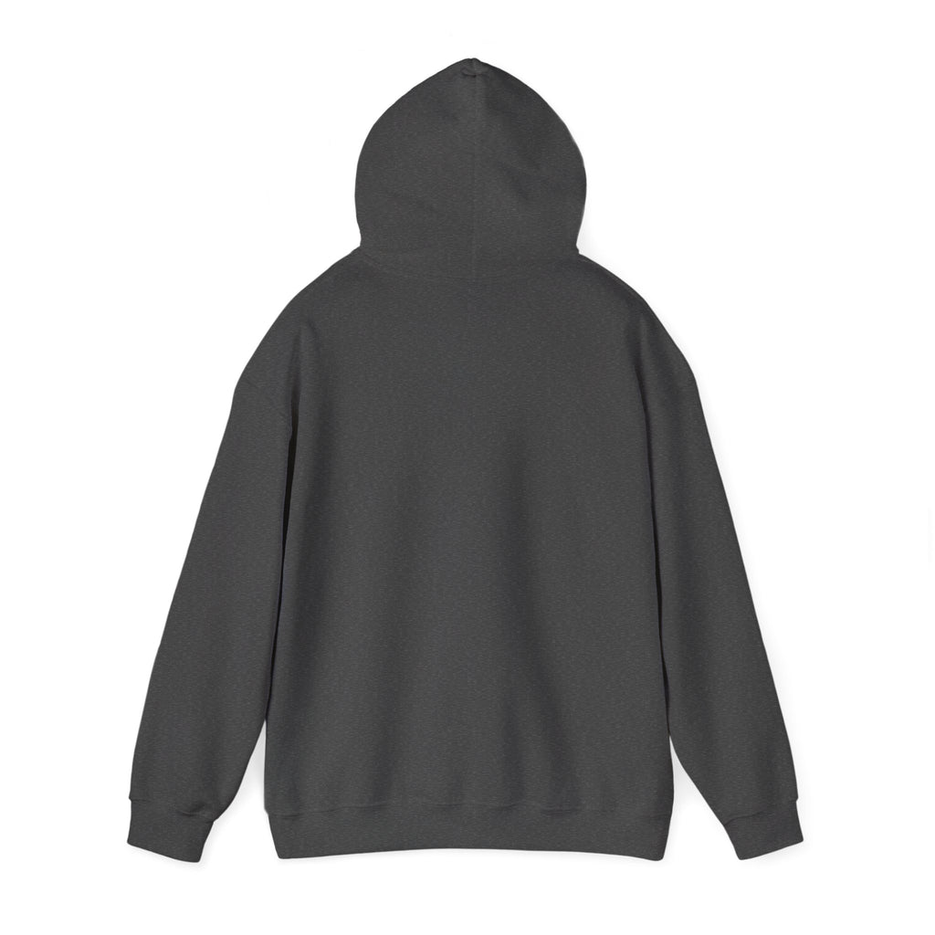 Until We Meet Again Hoodie - Angel Wings Pet Memorial Sweatshirt